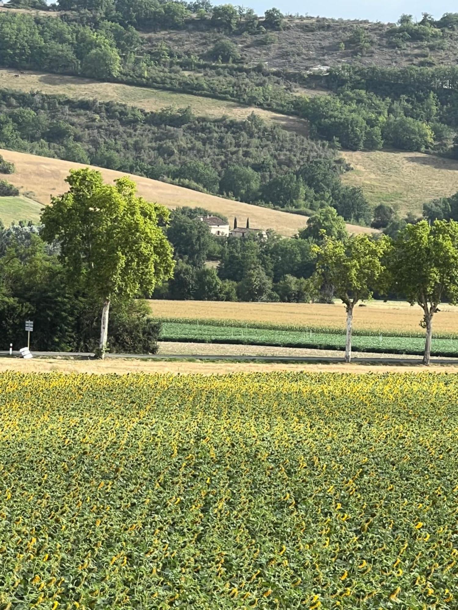 La Bastide De La Bogne Acomodação com café da manhã Vindrac-Alayrac Exterior foto